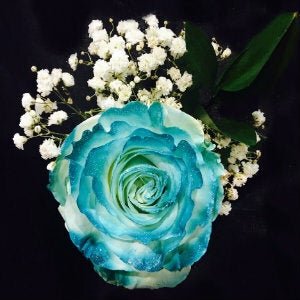 Painted Rose Bouquets (Your Color Choice) 1 - Stem - Flowers For FundraisingPainted Rose Bouquets (Your Color Choice) 1 - StemPainted Rose Bouquets (Your Color Choice) 1 - StemPainted Rose Bouquets (Your Color Choice) 1 - StemPainted Rose Bouquets (Your Color Choice) 1 - Stem