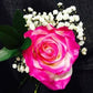 Painted Rose Bouquets (Your Color Choice) 1 - Stem - Flowers For FundraisingPainted Rose Bouquets (Your Color Choice) 1 - StemPainted Rose Bouquets (Your Color Choice) 1 - StemPainted Rose Bouquets (Your Color Choice) 1 - StemPainted Rose Bouquets (Your Color Choice) 1 - Stem