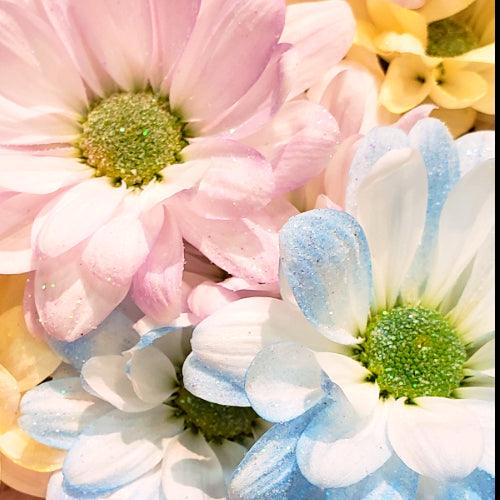 Pastel Rainbow Painted Daisy Bouquets, 3 Stems - 20 - Bouquets - Flowers For FundraisingPastel Rainbow Painted Daisy Bouquets, 3 Stems - 20 - BouquetsPastel Rainbow Painted Daisy Bouquets, 3 Stems - 20 - BouquetsPastel Rainbow Painted Daisy Bouquets, 3 Stems - 20 - BouquetsPastel Rainbow Painted Daisy Bouquets, 3 Stems - 20 - Bouquets