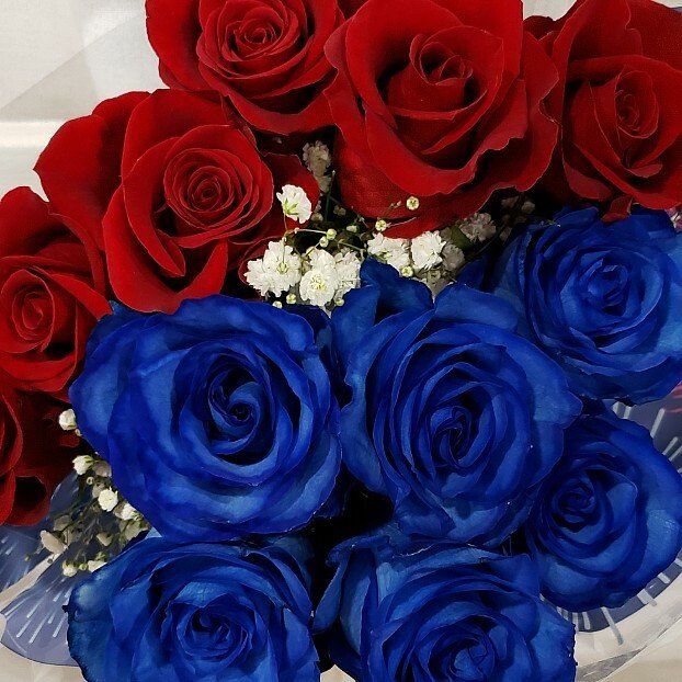 Patriotic Red and Blue Rose Bouquet - 12 Stem - Flowers For FundraisingPatriotic Red and Blue Rose Bouquet - 12 StemPatriotic Red and Blue Rose Bouquet - 12 StemPatriotic Red and Blue Rose Bouquet - 12 StemPatriotic Red and Blue Rose Bouquet - 12 Stem