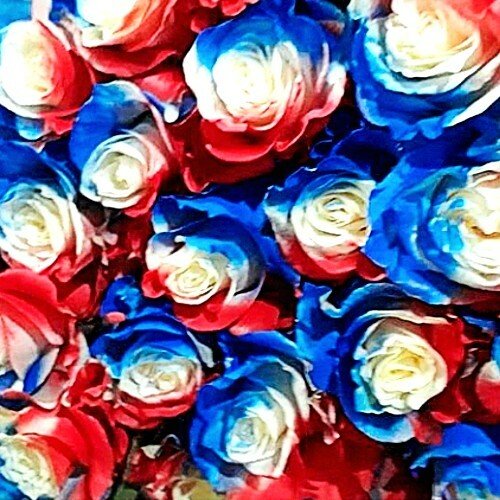 Blue Red Roses Bouquet Of Blue And Red Roses