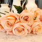 Peaches & Cream - 48LongStems.com
