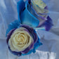 Pear Rose Bouquet 1 - Stem - Flowers For FundraisingPear Rose Bouquet 1 - StemPear Rose Bouquet 1 - StemPear Rose Bouquet 1 - StemPear Rose Bouquet 1 - Stem