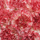 Mother's Day Bulk Fancy Carnations