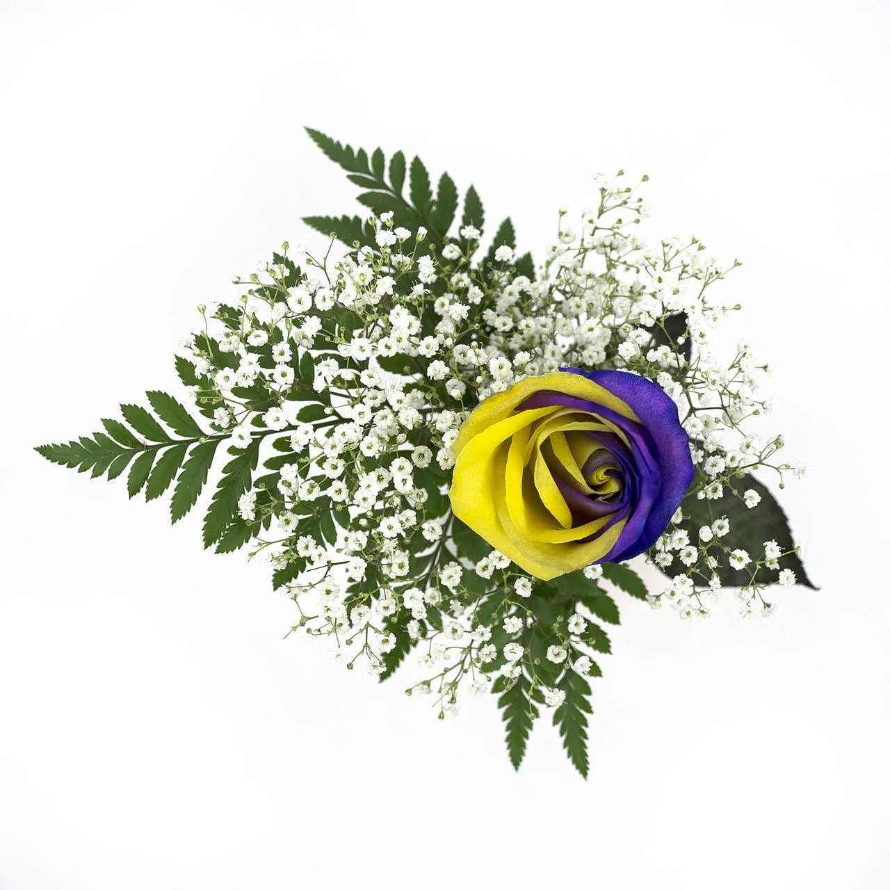 Purple and Yellow Dyed Rose Bouquet 1 - Stem - Flowers For FundraisingPurple and Yellow Dyed Rose Bouquet 1 - StemPurple and Yellow Dyed Rose Bouquet 1 - StemPurple and Yellow Dyed Rose Bouquet 1 - StemPurple and Yellow Dyed Rose Bouquet 1 - Stem