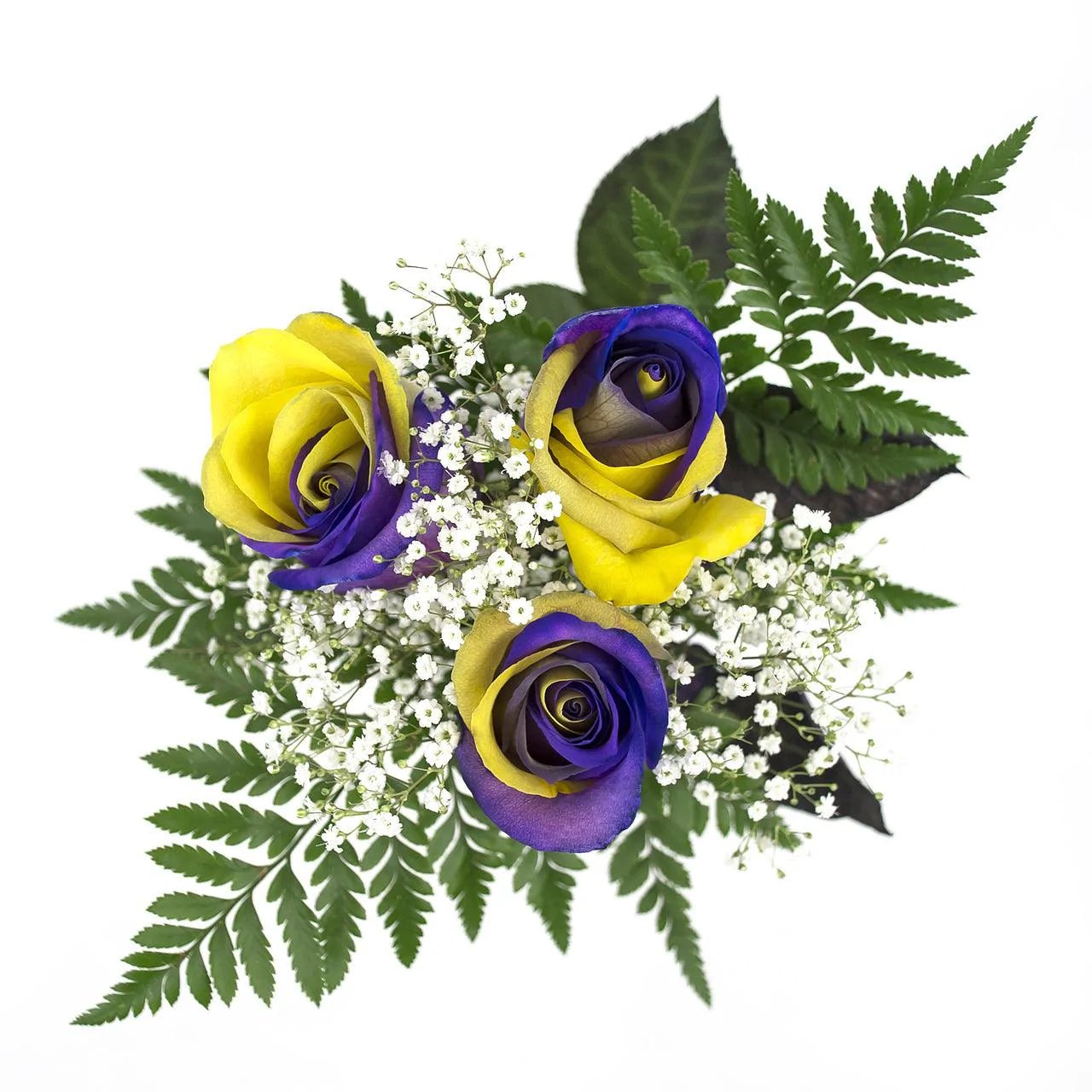 Purple and Yellow Dyed Rose Bouquet 3 - Stem - Flowers For FundraisingPurple and Yellow Dyed Rose Bouquet 3 - StemPurple and Yellow Dyed Rose Bouquet 3 - StemPurple and Yellow Dyed Rose Bouquet 3 - StemPurple and Yellow Dyed Rose Bouquet 3 - Stem