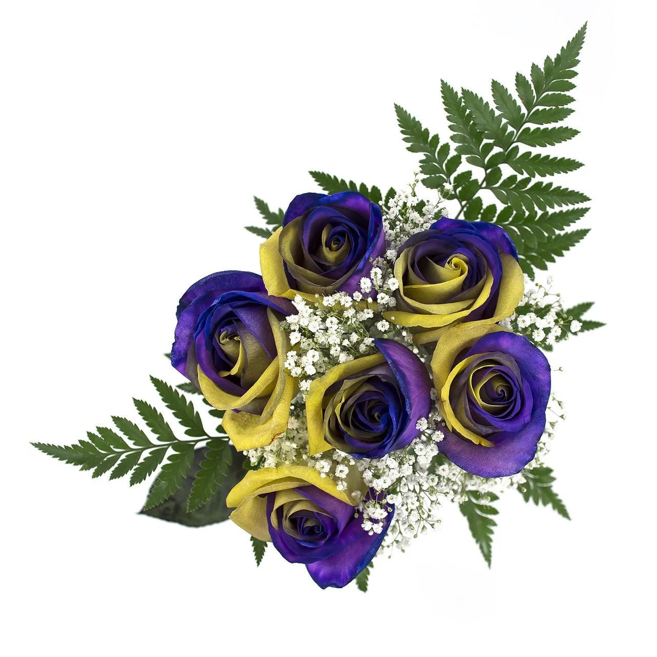 Purple and Yellow Dyed Rose Bouquet 6 - Stem - Flowers For FundraisingPurple and Yellow Dyed Rose Bouquet 6 - StemPurple and Yellow Dyed Rose Bouquet 6 - StemPurple and Yellow Dyed Rose Bouquet 6 - StemPurple and Yellow Dyed Rose Bouquet 6 - Stem