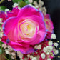 Raqueli Rose Bouquet 1 - Stem - Flowers For FundraisingRaqueli Rose Bouquet 1 - StemRaqueli Rose Bouquet 1 - StemRaqueli Rose Bouquet 1 - StemRaqueli Rose Bouquet 1 - Stem