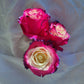 Raqueli Rose Bouquet 1 - Stem - Flowers For FundraisingRaqueli Rose Bouquet 1 - StemRaqueli Rose Bouquet 1 - StemRaqueli Rose Bouquet 1 - StemRaqueli Rose Bouquet 1 - Stem