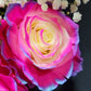 Raqueli Rose Bouquet 1 - Stem - Flowers For FundraisingRaqueli Rose Bouquet 1 - StemRaqueli Rose Bouquet 1 - StemRaqueli Rose Bouquet 1 - StemRaqueli Rose Bouquet 1 - Stem