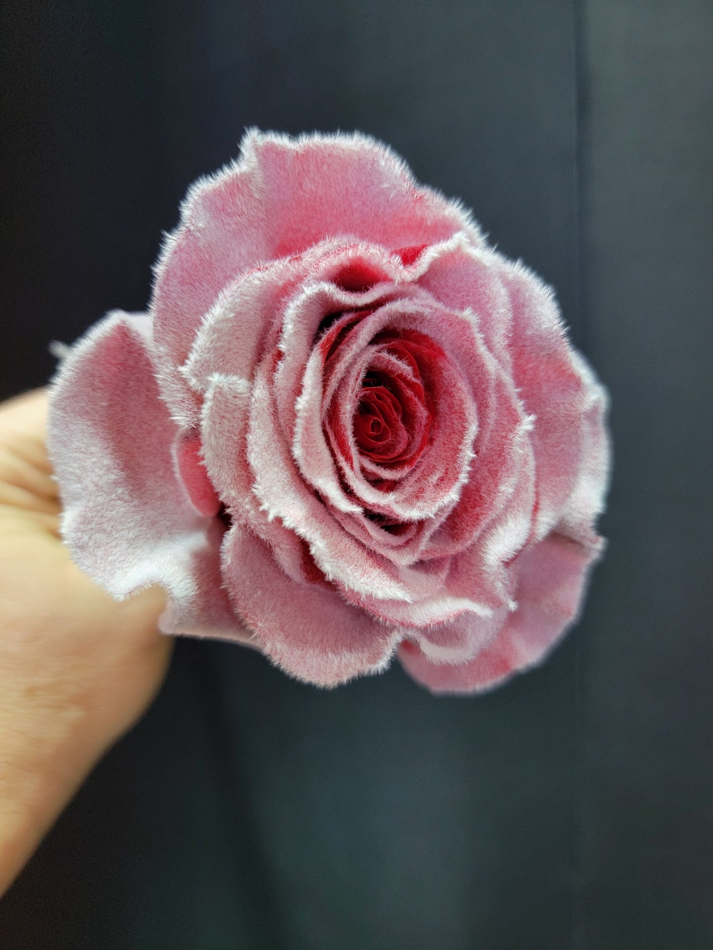 Red Frosted Rose Bouquet 1 - Stem - Flowers For FundraisingRed Frosted Rose Bouquet 1 - StemRed Frosted Rose Bouquet 1 - StemRed Frosted Rose Bouquet 1 - StemRed Frosted Rose Bouquet 1 - Stem