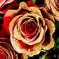 Red Rose Bouquet with Gold Glitter 1 - Stem - Flowers For FundraisingRed Rose Bouquet with Gold Glitter 1 - StemRed Rose Bouquet with Gold Glitter 1 - StemRed Rose Bouquet with Gold Glitter 1 - StemRed Rose Bouquet with Gold Glitter 1 - Stem