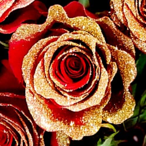 Red Rose Bouquet with Gold Glitter 3 - Stem - Flowers For FundraisingRed Rose Bouquet with Gold Glitter 3 - StemRed Rose Bouquet with Gold Glitter 3 - StemRed Rose Bouquet with Gold Glitter 3 - StemRed Rose Bouquet with Gold Glitter 3 - Stem