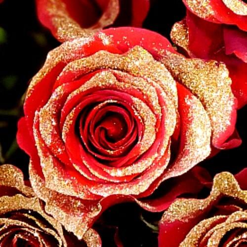 Red Roses with Gold Glitter - 3 Stem Rose Bouquets – Flowers For ...