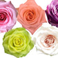 Rose Combo Box - 125 Stems - Flowers For FundraisingRose Combo Box - 125 StemsRose Combo Box - 125 StemsRose Combo Box - 125 StemsRose Combo Box - 125 Stems