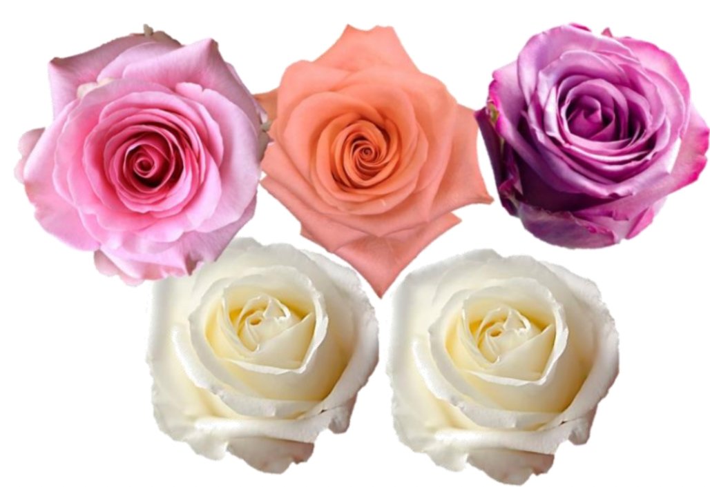 Rose Combo Box - 125 Stems - Flowers For FundraisingRose Combo Box - 125 StemsRose Combo Box - 125 StemsRose Combo Box - 125 StemsRose Combo Box - 125 Stems