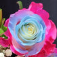 Sequoia Rose Bouquet 12 - Stem - Flowers For FundraisingSequoia Rose Bouquet 12 - StemSequoia Rose Bouquet 12 - StemSequoia Rose Bouquet 12 - StemSequoia Rose Bouquet 12 - Stem