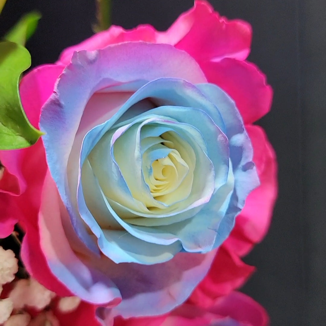 Sequoia Rose Bouquet 3-Stem