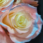 Silvermist Rose Bouquet 6-Stem