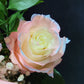 Silvermist Rose Bouquet 12-Stem