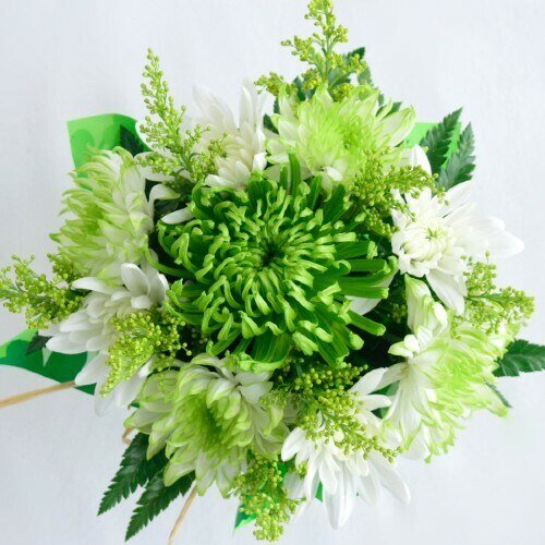 St. Patrick's Day Mini Centerpieces - 14 Bqts, Assorted - Flowers For FundraisingSt. Patrick's Day Mini Centerpieces - 14 Bqts, AssortedSt. Patrick's Day Mini Centerpieces - 14 Bqts, AssortedSt. Patrick's Day Mini Centerpieces - 14 Bqts, AssortedSt. Patrick's Day Mini Centerpieces - 14 Bqts, Assorted