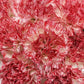 Standard Bulk Carnations - Flowers For FundraisingStandard Bulk CarnationsStandard Bulk CarnationsStandard Bulk CarnationsStandard Bulk Carnations