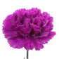 Standard Bulk Carnations - Flowers For FundraisingStandard Bulk CarnationsStandard Bulk CarnationsStandard Bulk CarnationsStandard Bulk Carnations