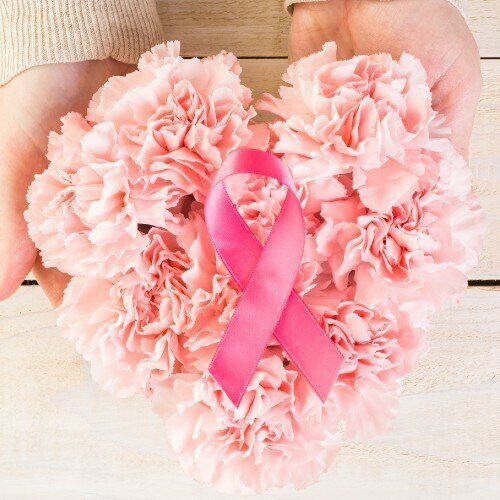 Standard Pink Carnations for Breast Cancer - Flowers For FundraisingStandard Pink Carnations for Breast CancerStandard Pink Carnations for Breast CancerStandard Pink Carnations for Breast CancerStandard Pink Carnations for Breast Cancer