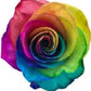 Tie Dyed Rainbow Roses - Bulk - Flowers For FundraisingTie Dyed Rainbow Roses - BulkTie Dyed Rainbow Roses - BulkTie Dyed Rainbow Roses - BulkTie Dyed Rainbow Roses - Bulk