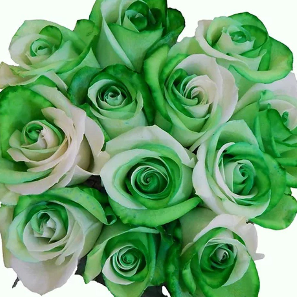 Single Green Rose Flower Greeting Card With Two Green Rose Flowers And