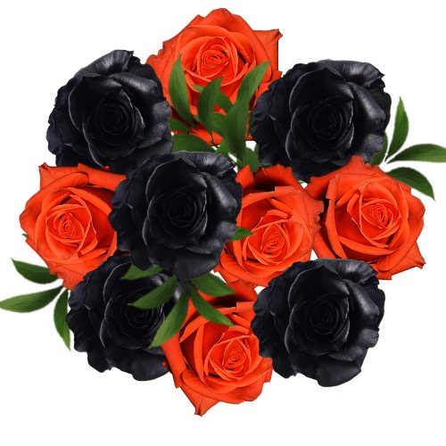 Ultimate Halloween Combo Painted Rose Bouquets - Flowers For FundraisingUltimate Halloween Combo Painted Rose BouquetsUltimate Halloween Combo Painted Rose BouquetsUltimate Halloween Combo Painted Rose BouquetsUltimate Halloween Combo Painted Rose Bouquets