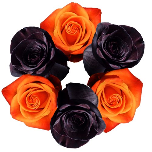 Ultimate Halloween Painted Roses Combo - Bulk - Flowers For FundraisingUltimate Halloween Painted Roses Combo - BulkUltimate Halloween Painted Roses Combo - BulkUltimate Halloween Painted Roses Combo - BulkUltimate Halloween Painted Roses Combo - Bulk