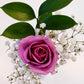 Valentine's Day Rose Bouquets 1 - Stem - Flowers For FundraisingValentine's Day Rose Bouquets 1 - StemValentine's Day Rose Bouquets 1 - StemValentine's Day Rose Bouquets 1 - StemValentine's Day Rose Bouquets 1 - Stem