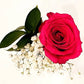 Valentine's Day Rose Bouquets 1 - Stem - Flowers For FundraisingValentine's Day Rose Bouquets 1 - StemValentine's Day Rose Bouquets 1 - StemValentine's Day Rose Bouquets 1 - StemValentine's Day Rose Bouquets 1 - Stem