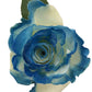 White Rose Bouquet with Dark Blue Glitter 1 - Stem Rose - Flowers For FundraisingWhite Rose Bouquet with Dark Blue Glitter 1 - Stem RoseWhite Rose Bouquet with Dark Blue Glitter 1 - Stem RoseWhite Rose Bouquet with Dark Blue Glitter 1 - Stem RoseWhite Rose Bouquet with Dark Blue Glitter 1 - Stem Rose