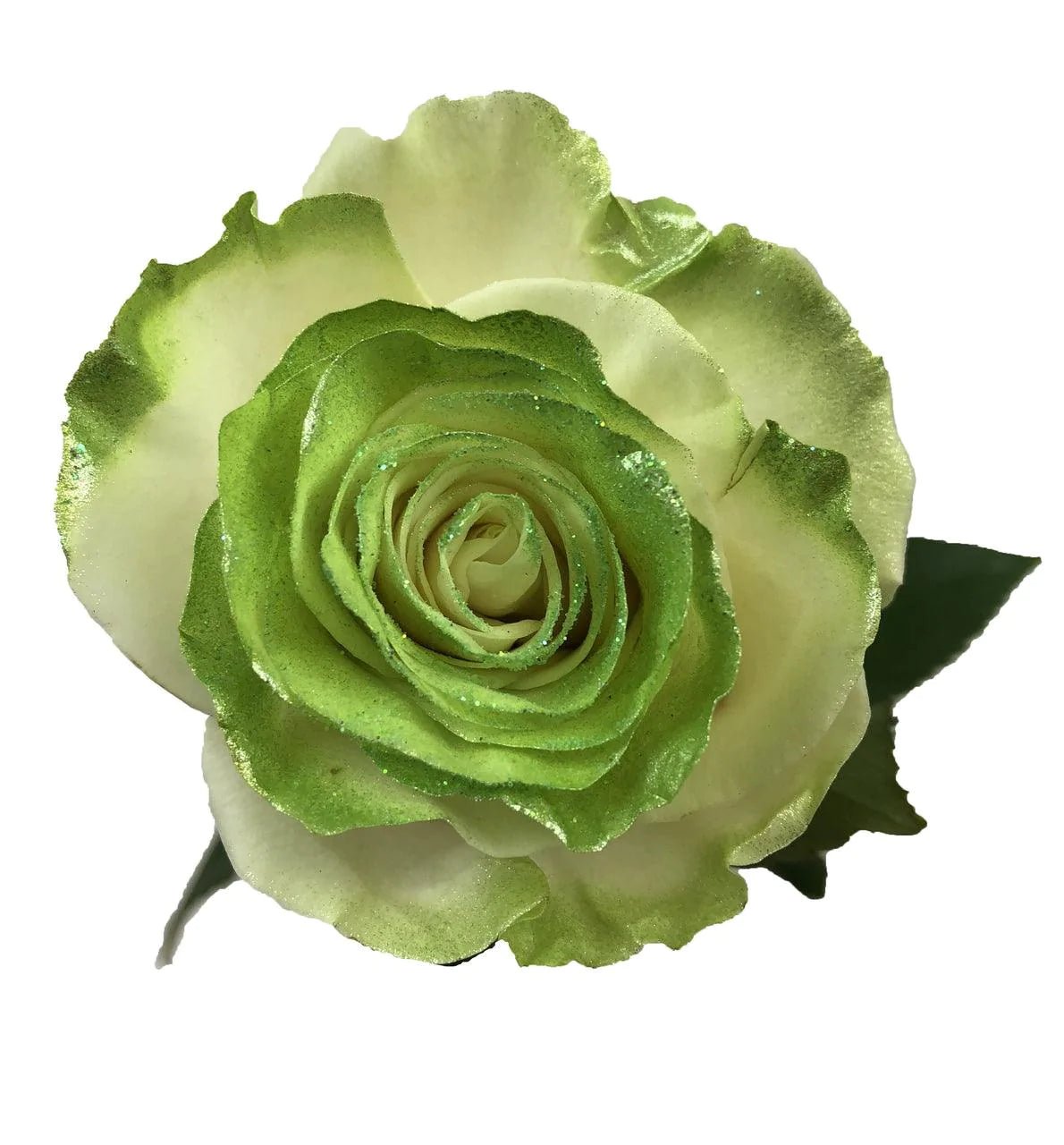 White Rose Bouquet with Lime Green Glitter 1 - Stem - Flowers For FundraisingWhite Rose Bouquet with Lime Green Glitter 1 - StemWhite Rose Bouquet with Lime Green Glitter 1 - StemWhite Rose Bouquet with Lime Green Glitter 1 - StemWhite Rose Bouquet with Lime Green Glitter 1 - Stem