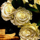 White Rose Bouquet with Silver Glitter 1 - Stem - Flowers For FundraisingWhite Rose Bouquet with Silver Glitter 1 - StemWhite Rose Bouquet with Silver Glitter 1 - StemWhite Rose Bouquet with Silver Glitter 1 - StemWhite Rose Bouquet with Silver Glitter 1 - Stem