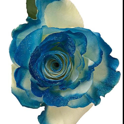 White Roses Sprayed Blue White Roses with Teal Blue Glitter - Bulk | Wholesale Glitter Roses ...