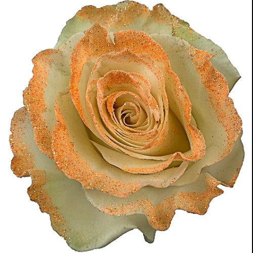 White Roses with Peach Glitter - Bulk - Flowers For FundraisingWhite Roses with Peach Glitter - BulkWhite Roses with Peach Glitter - BulkWhite Roses with Peach Glitter - BulkWhite Roses with Peach Glitter - Bulk