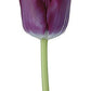 Wholesale Tulips - Flowers For FundraisingWholesale TulipsWholesale TulipsWholesale TulipsWholesale Tulips