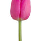 Wholesale Tulips - Flowers For FundraisingWholesale TulipsWholesale TulipsWholesale TulipsWholesale Tulips