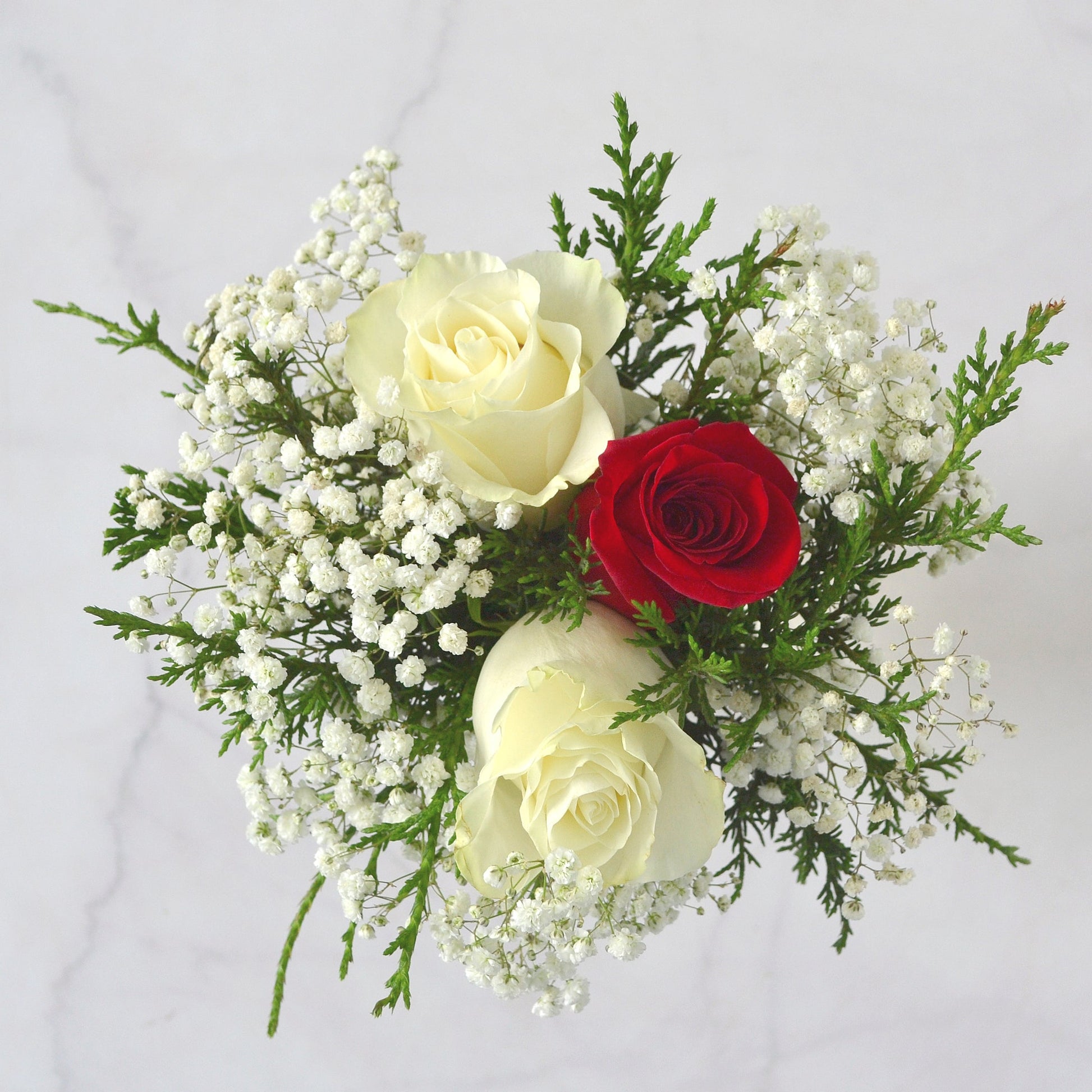 Winter 3 - Stem Red and White Rose Bouquet - Flowers For FundraisingWinter 3 - Stem Red and White Rose BouquetWinter 3 - Stem Red and White Rose BouquetWinter 3 - Stem Red and White Rose BouquetWinter 3 - Stem Red and White Rose Bouquet