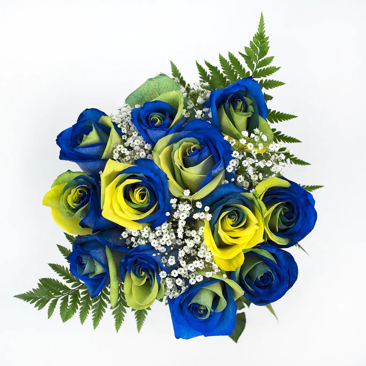 Yellow, Green and Blue Dyed Rose Bouquet 12 - Stem - Flowers For FundraisingYellow, Green and Blue Dyed Rose Bouquet 12 - StemYellow, Green and Blue Dyed Rose Bouquet 12 - StemYellow, Green and Blue Dyed Rose Bouquet 12 - StemYellow, Green and Blue Dyed Rose Bouquet 12 - Stem