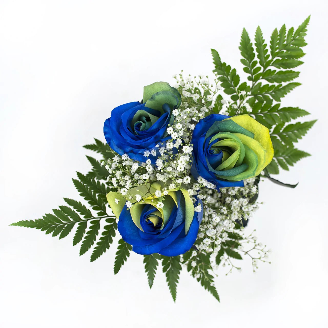 Yellow, Green and Blue Dyed Rose Bouquet 3 - Stem - Flowers For FundraisingYellow, Green and Blue Dyed Rose Bouquet 3 - StemYellow, Green and Blue Dyed Rose Bouquet 3 - StemYellow, Green and Blue Dyed Rose Bouquet 3 - StemYellow, Green and Blue Dyed Rose Bouquet 3 - Stem