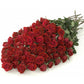 Phi Kappa Phi - Red Roses, 40cm