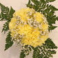 Carnation Bouquets 12-Stem