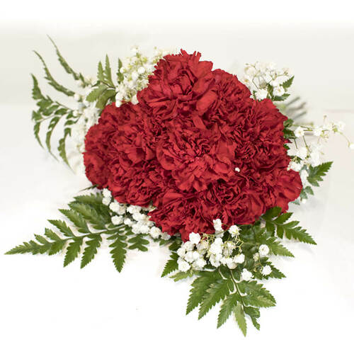 Carnation Bouquets 12-Stem