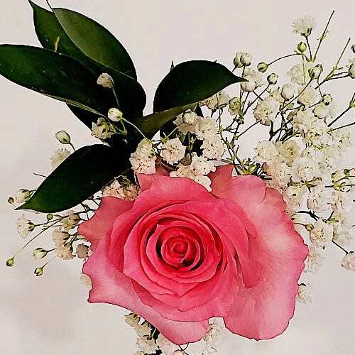 Valentine's Day Rose Bouquets 1-Stem
