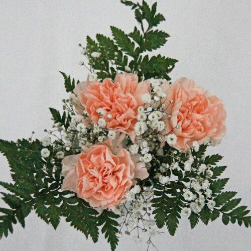 Carnation Bouquets 3-Stem