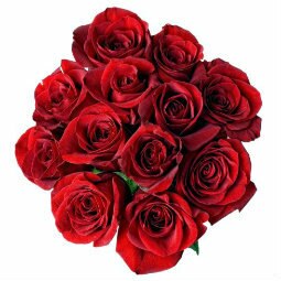 Mother's Day Promotional Red Rose Bouquets 12-Stem